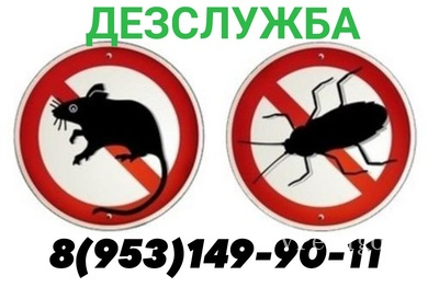 Услуги по уничтожению всех видов насекомых