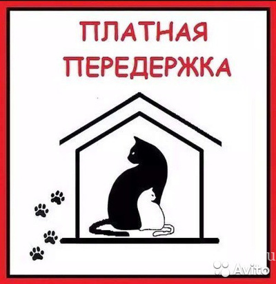 Домашняя передержка