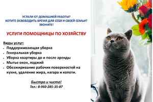 Услуги помощницы по хозяйству